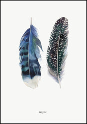 Indian Feather | Poster