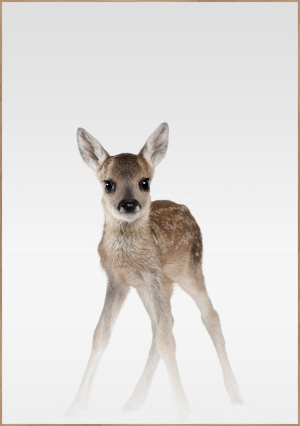 Misty Deer | Poster