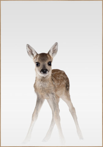 Misty Deer | Poster board