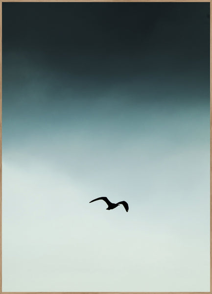 Seagull Blue | Poster board