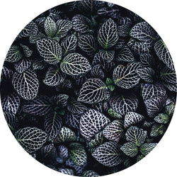 Moon Flowers | CIRCLE ART