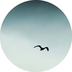 Seagull Blue | Circle Art