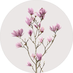 Magnolia 2 | Circle Art