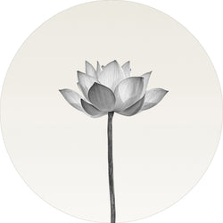 Lotus | Circle Art