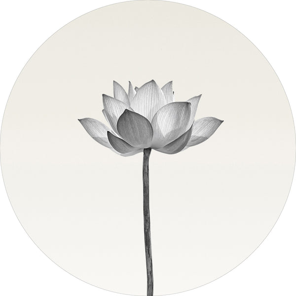 Lotus | Circle Art