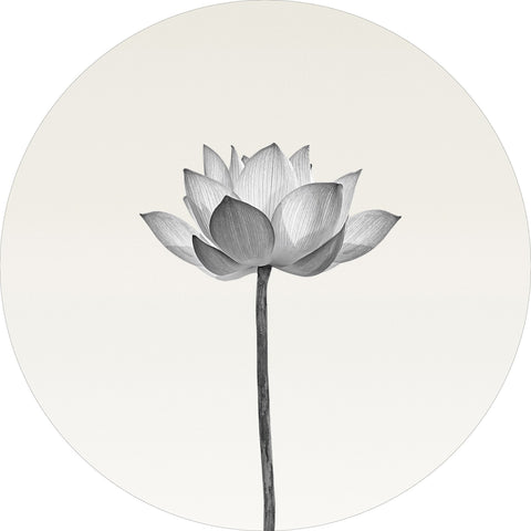 Lotus | Circle Art