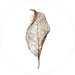 Leaf | Circle Art