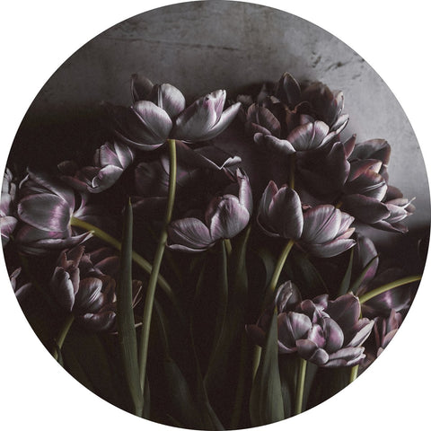 Dark Tulips | Circle Art