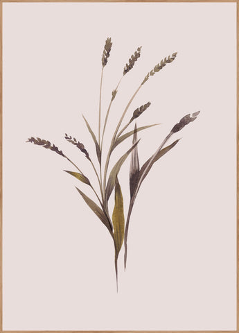 Wheat | Poster board