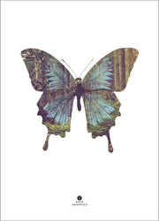 Butterfly | Poster