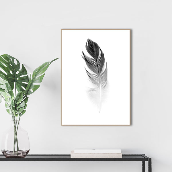 Soft Feather | Poster board