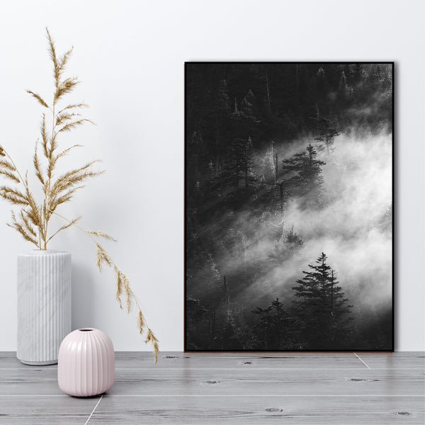 Misty Pine Woods | Poster board