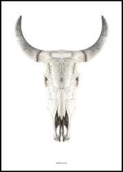 Cow Skull | Poster board