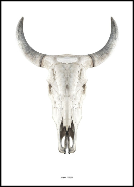 Cow skull | POSTER BOARD