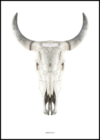 Cow Skull | Poster board