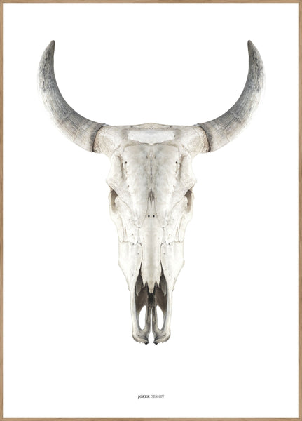 Cow Skull | Poster board