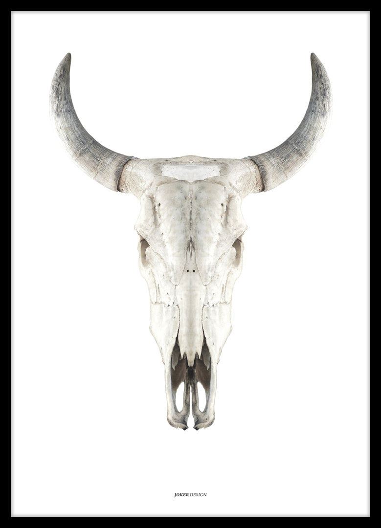 Cow Skull | Poster