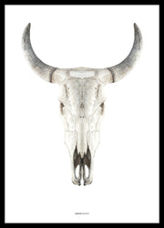 Cow skull | POSTER