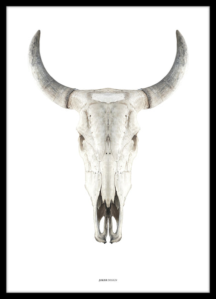 Cow skull | POSTER