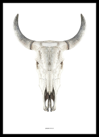 Cow Skull | Poster