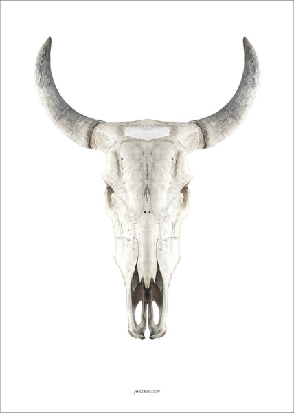 Cow Skull | POSTER