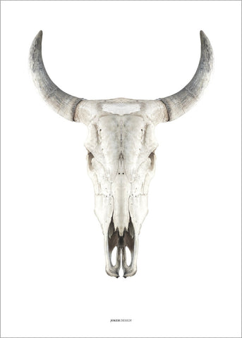 Cow Skull | Poster