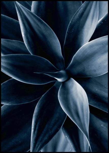 Dark Plant 1 | Poster board