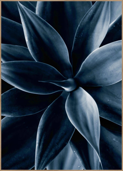 Dark Plant 1 | Poster board