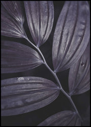 Dark Plant 3 | Poster board