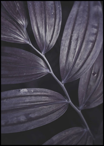 Dark Plant 3 | Poster board