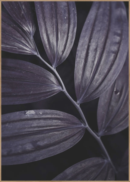 Dark Plant 3 | Poster board