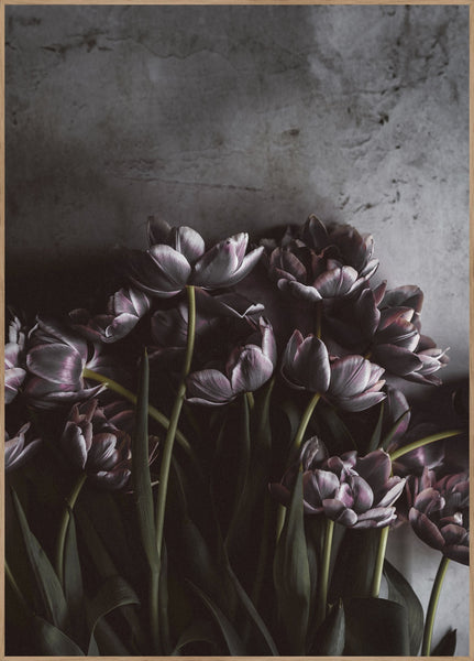 Dark Tulips | Poster board