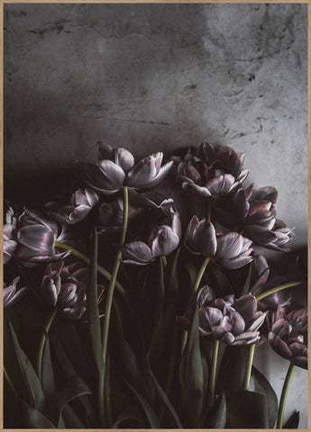 Donkere tulpen | Poster