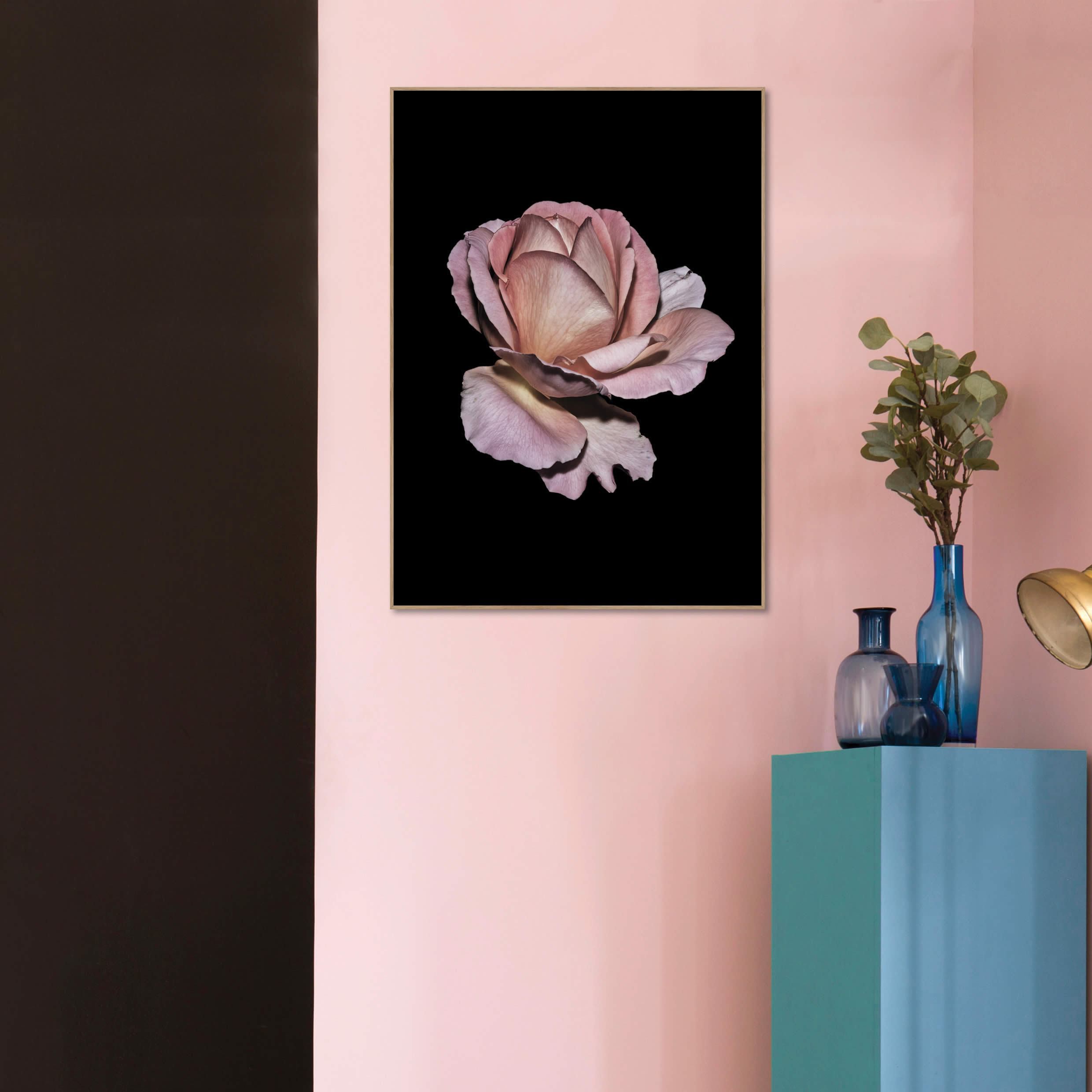 Pink Rose | Plakatbræt