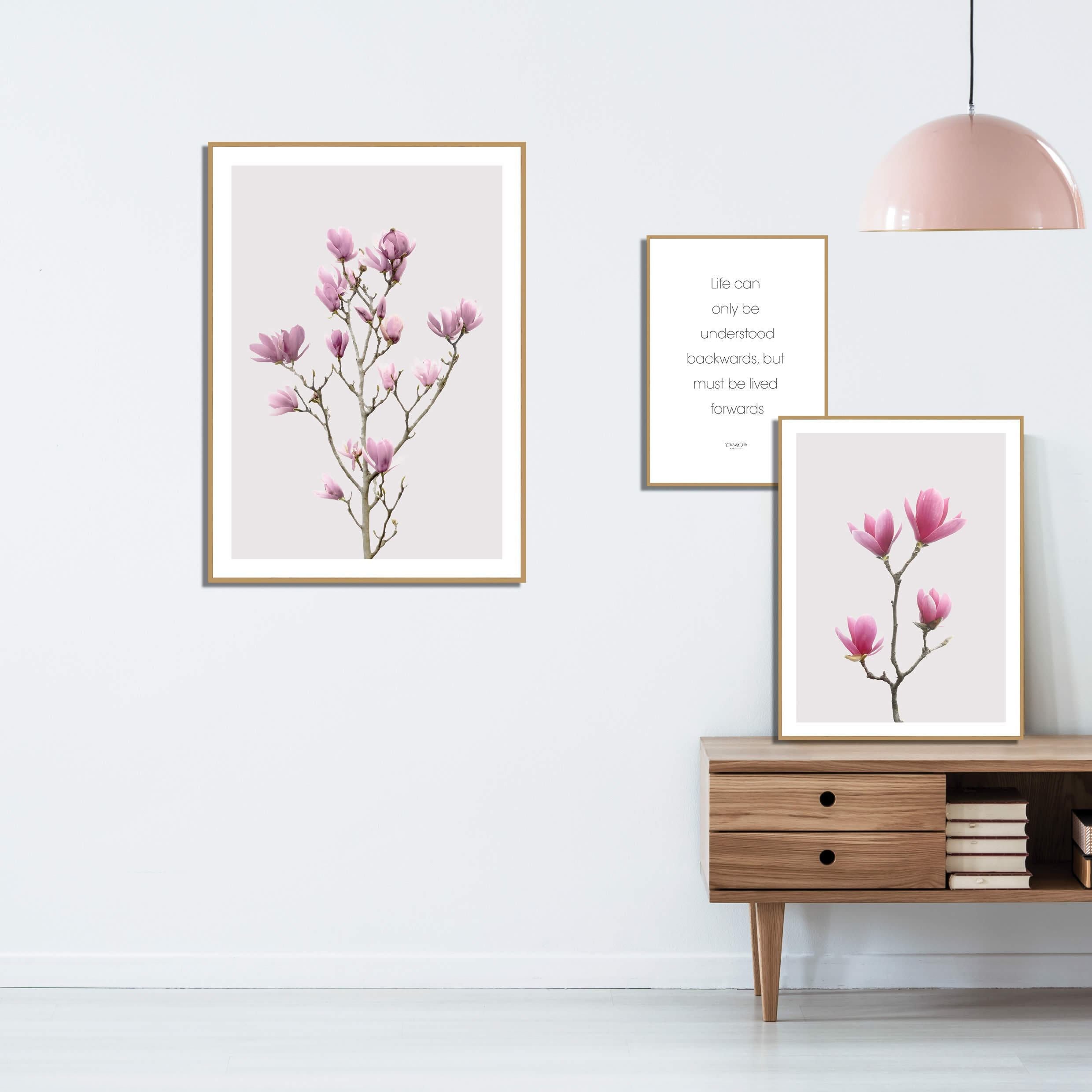 Magnolia 1 | Plakatbræt