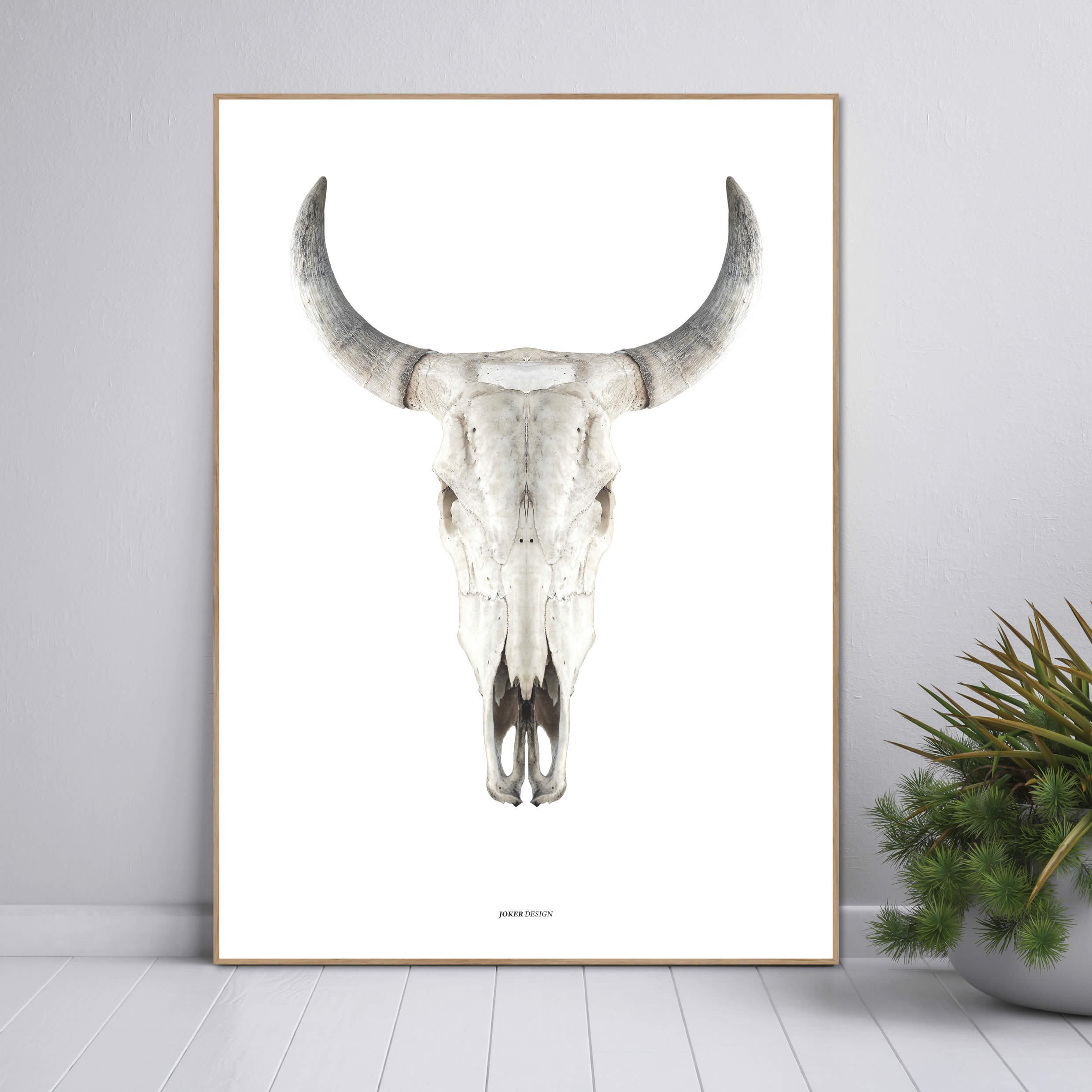 Cow Skull | Poster board