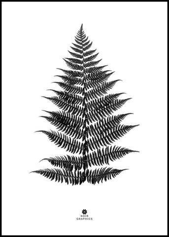 Fern black | POSTER BOARD