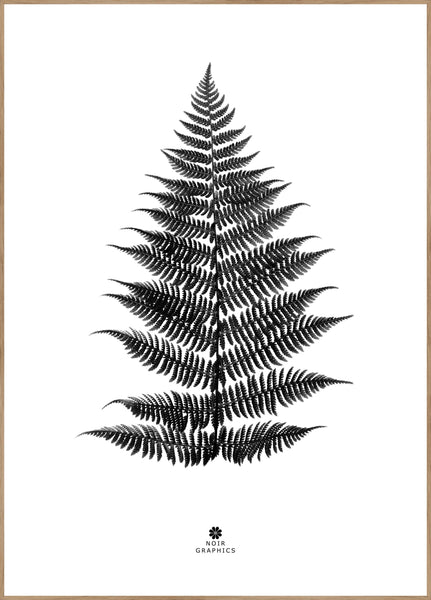 Fern black | POSTER BOARD