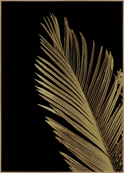 Golden Palm 1 | Poster