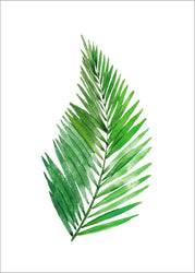 Groene planten 13 | POSTER