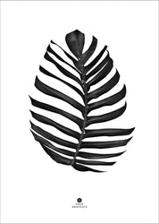 Jungle Leaf Black | PLAKAT