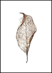 Leaf | Poster