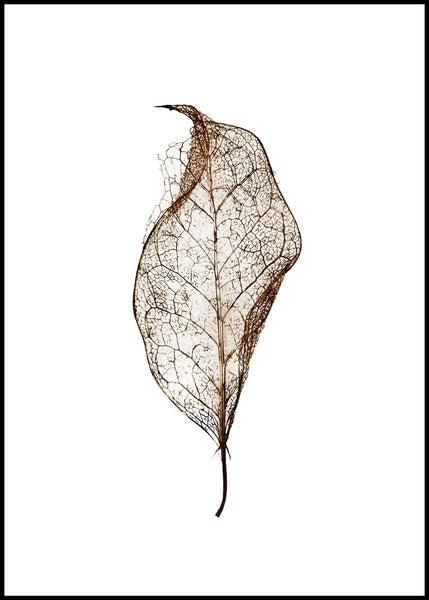 Leaf | Poster board