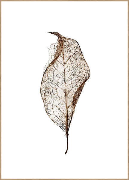 Leaf | Poster