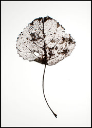 Leaf rustic | POSTER BOARD