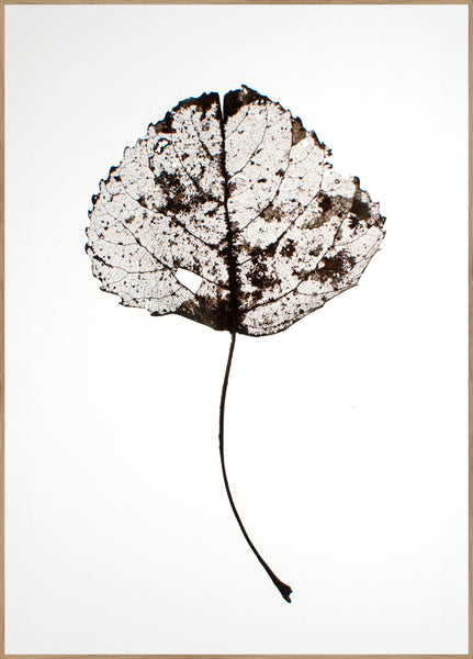 Leaf Rustic | Poster board