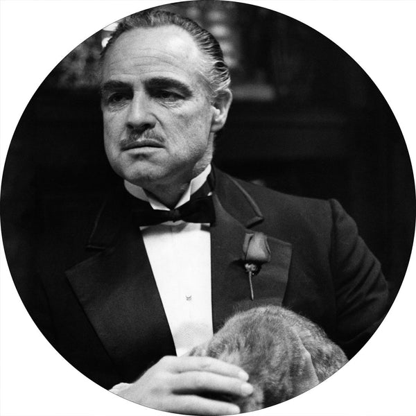 Marlon Brando 2 | CIRCLE ART