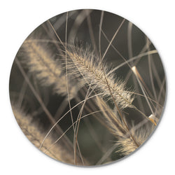 Mellow Grasses 2 | Circle Art