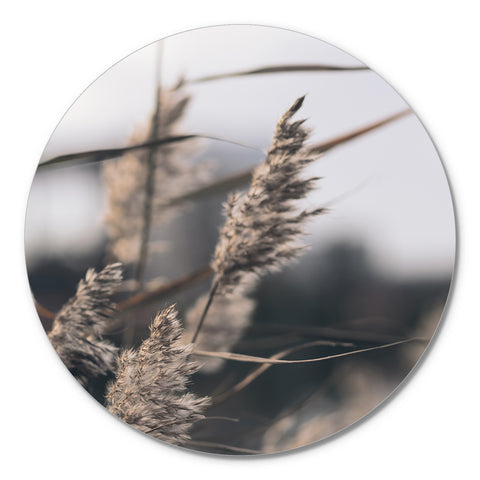 Mellow Grasses 3 | Circle Art