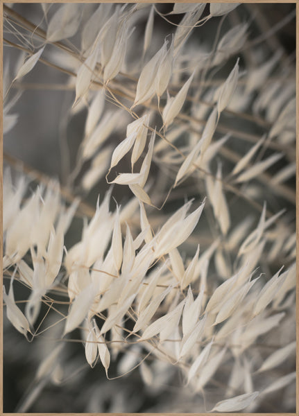 Mellow Grasses 4 | Poster board